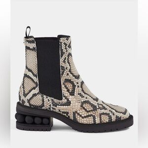 Snakeskin Combat Chelsea Boots